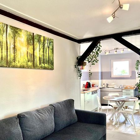 Seppala Charmant Appartement 콜마 외부 사진