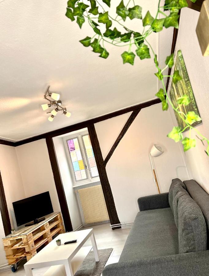 Seppala Charmant Appartement 콜마 외부 사진