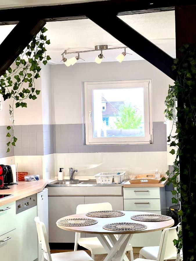 Seppala Charmant Appartement 콜마 외부 사진