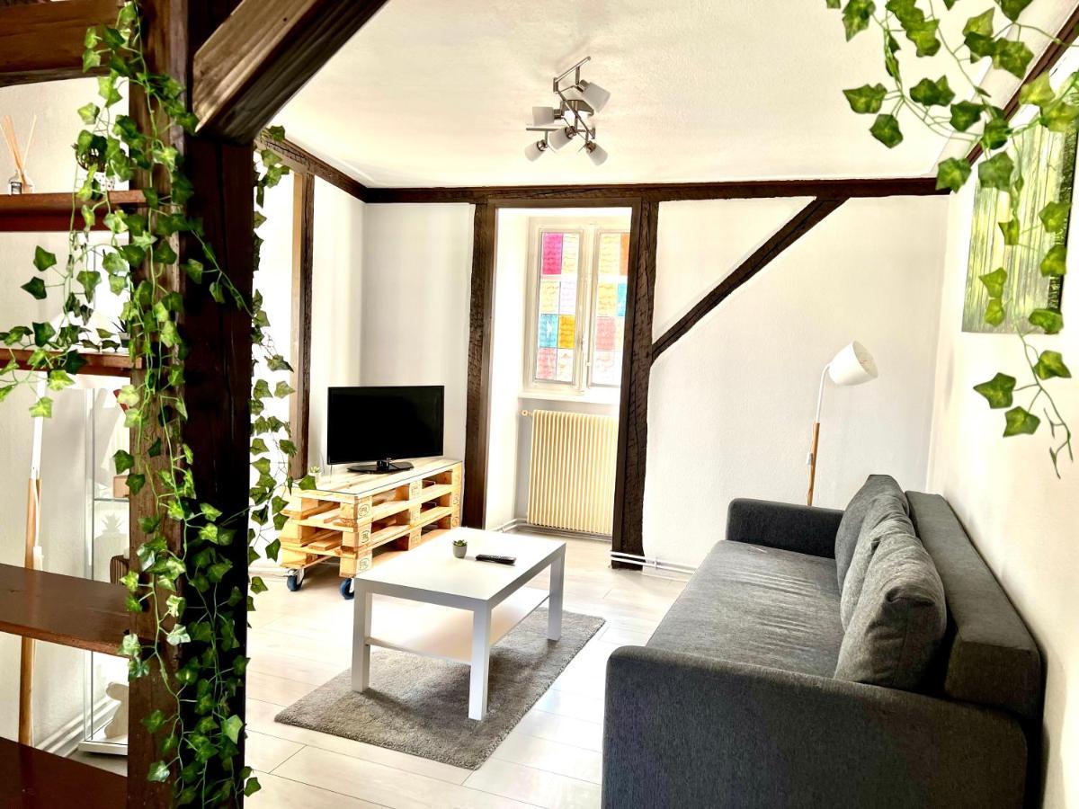 Seppala Charmant Appartement 콜마 외부 사진