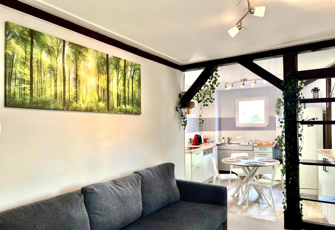 Seppala Charmant Appartement 콜마 외부 사진